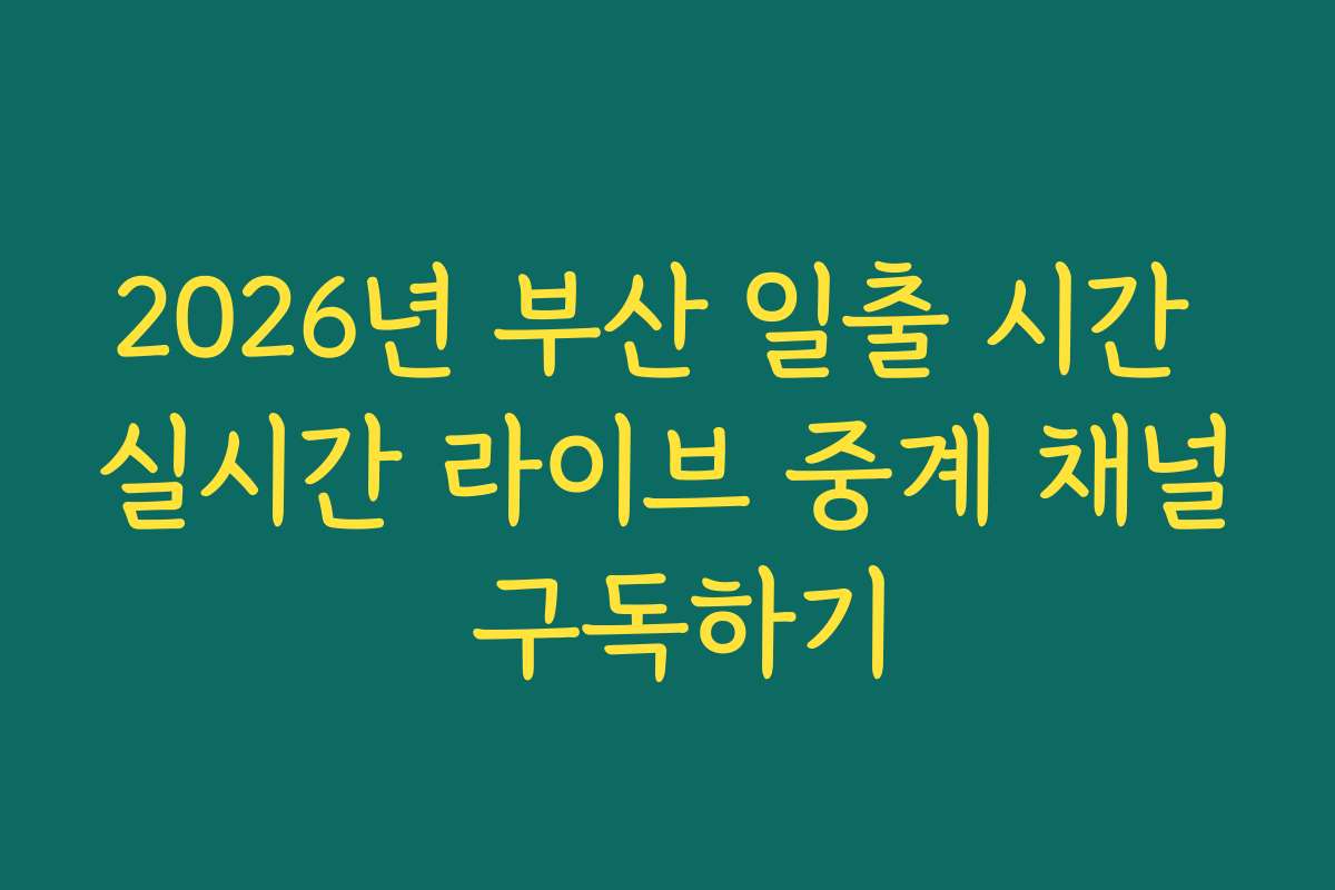 2026년 부산 일출 시간 실시간 라이브 중계 채널 구독하기