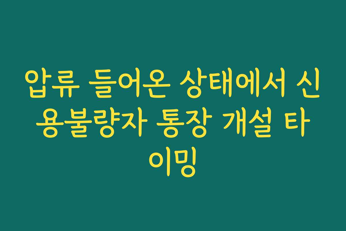압류 들어온 상태에서 신용불량자 통장 개설 타이밍