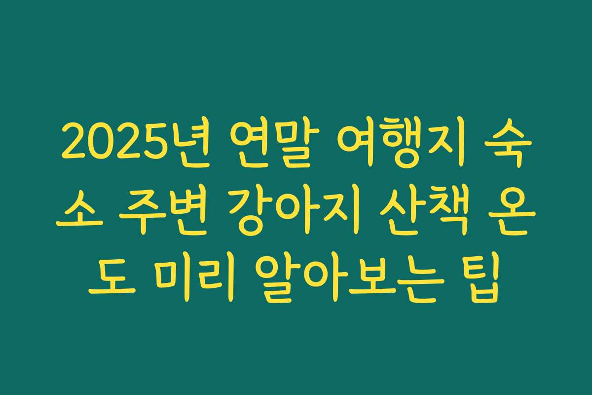 2025년 연말 여행지 숙소 주변 강아지 산책 온도 미리 알아보는 팁