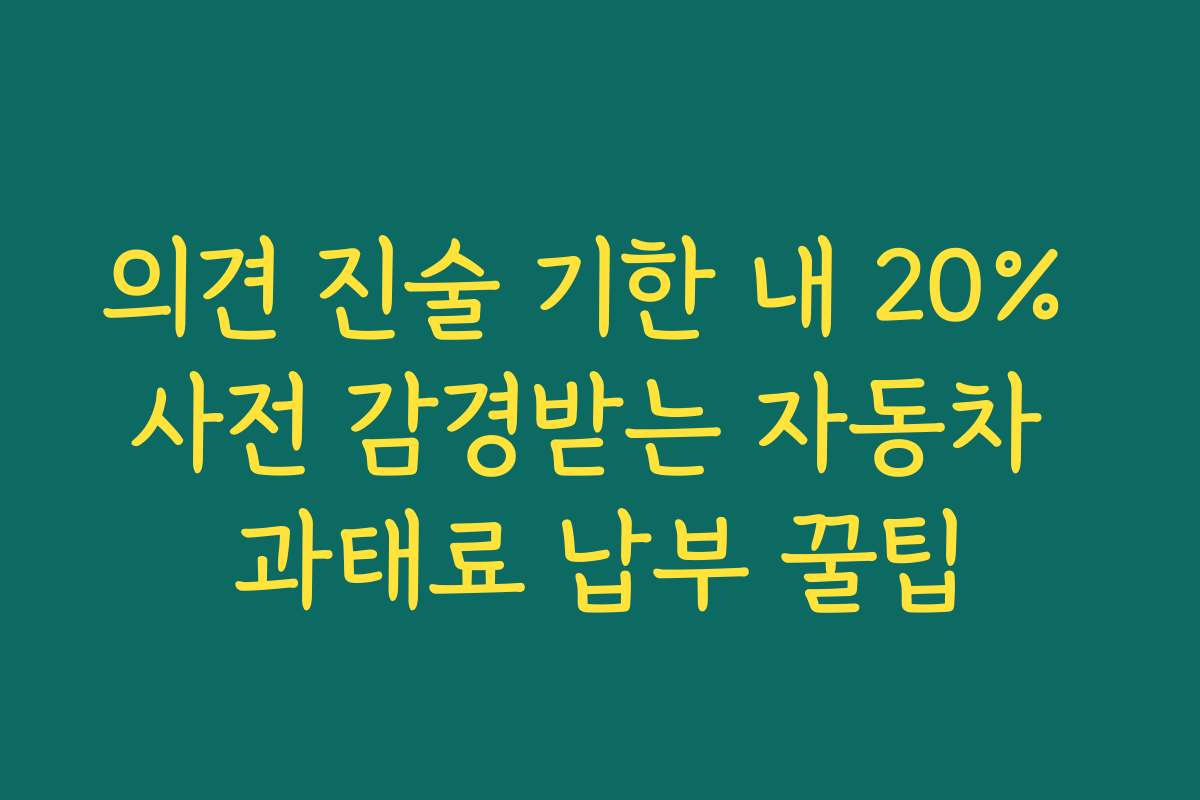 의견 진술 기한 내 20% 사전 감경받는 자동차 과태료 납부 꿀팁