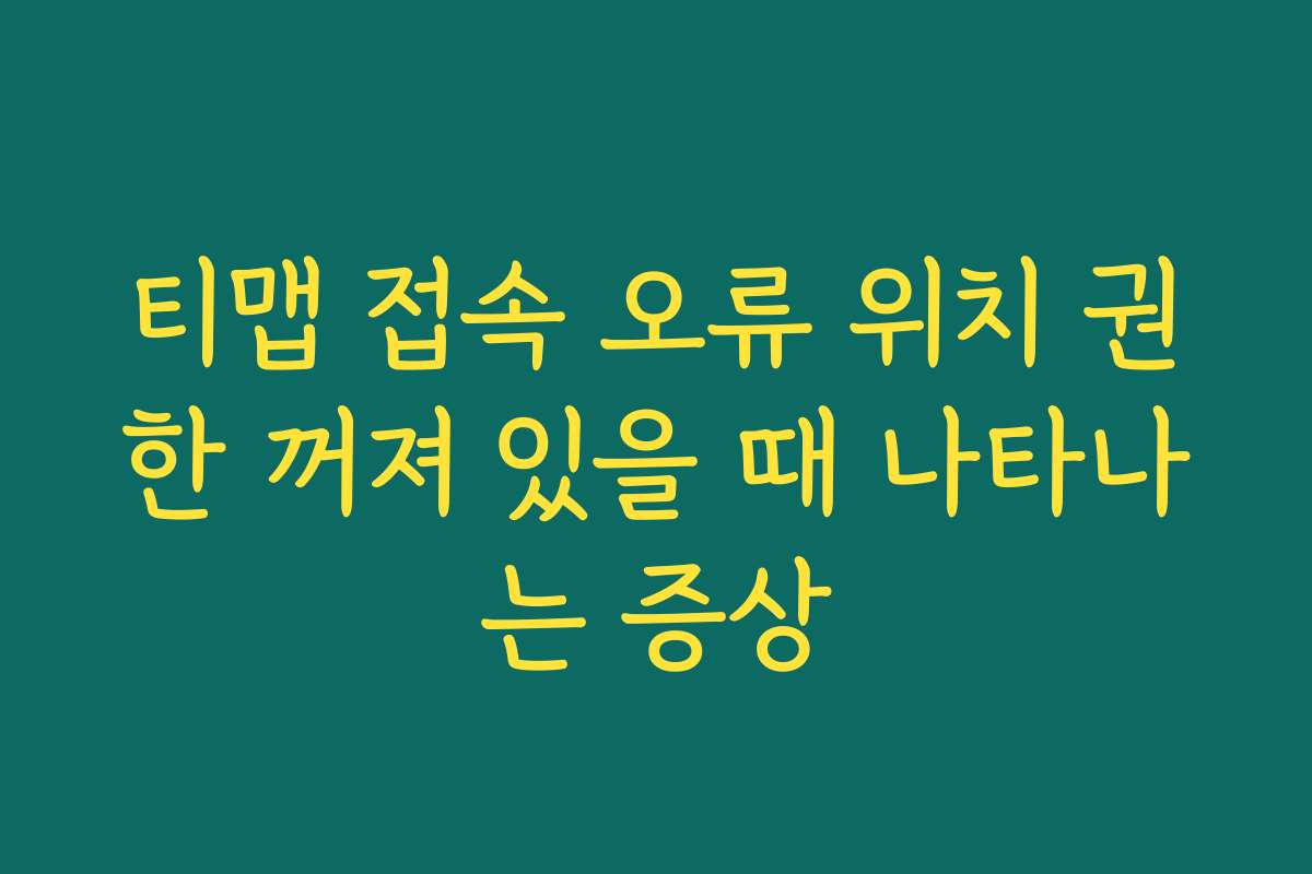 티맵 접속 오류 위치 권한 꺼져 있을 때 나타나는 증상