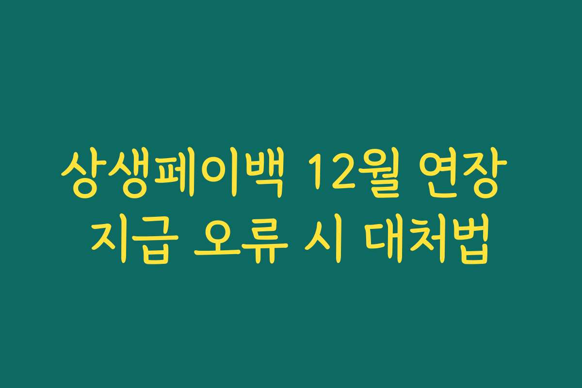 상생페이백 12월 연장 지급 오류 시 대처법