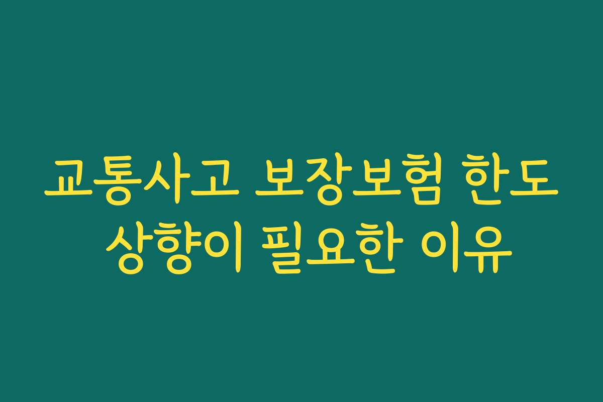 교통사고 보장보험 한도 상향이 필요한 이유