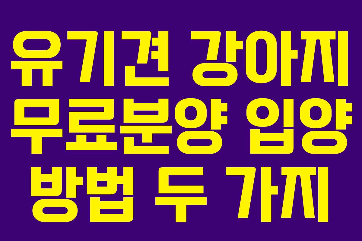 유기견 강아지 무료분양 입양 방법 두 가지