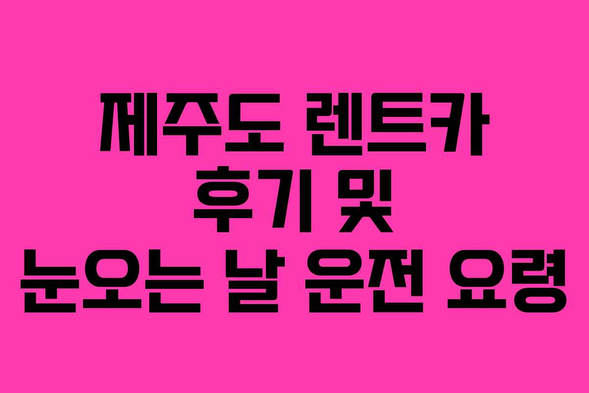 제주도 렌트카 후기 및 눈오는 날 운전 요령