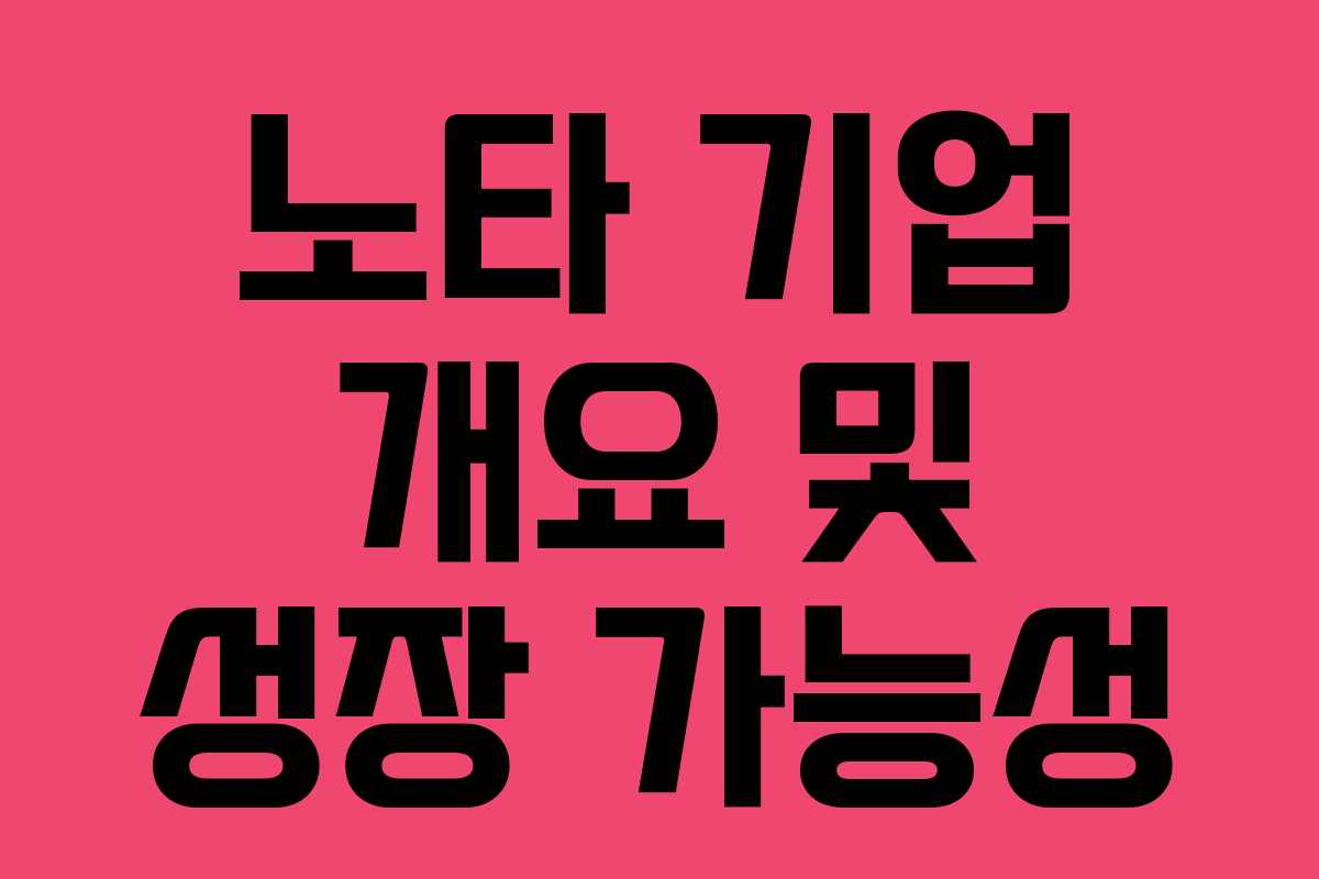 노타 기업 개요 및 성장 가능성