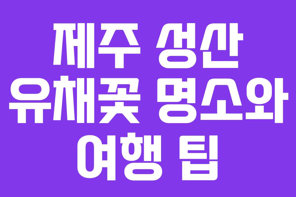 제주 성산 유채꽃 명소와 여행 팁