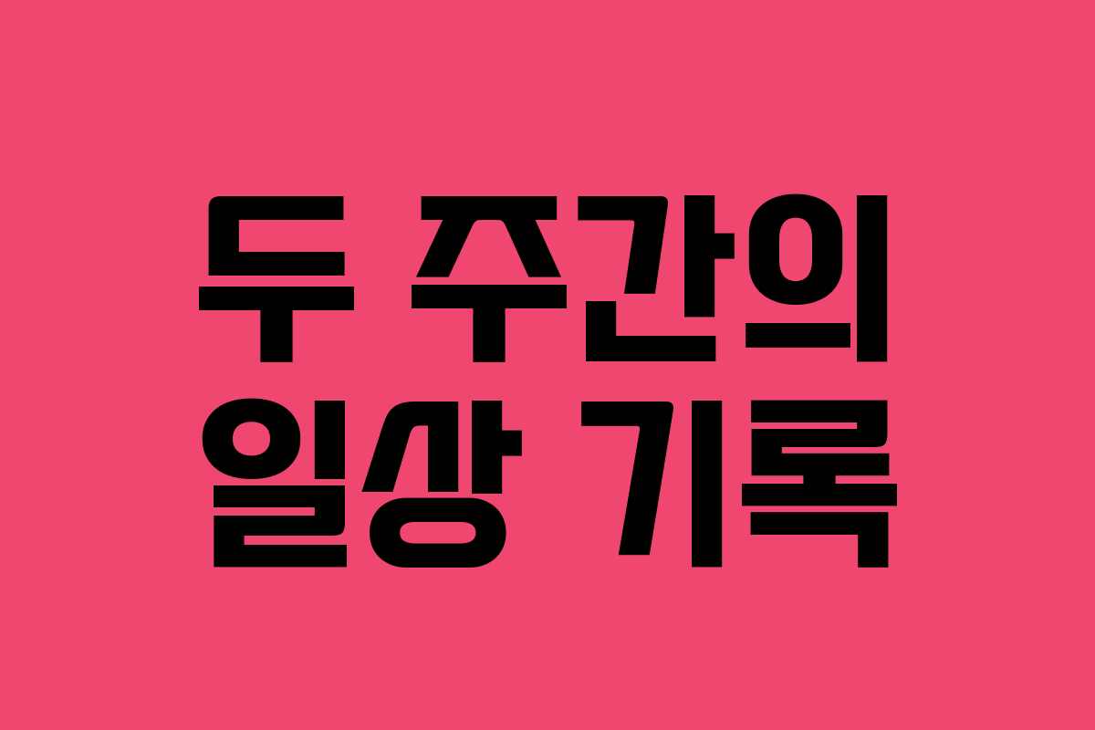두 주간의 일상 기록