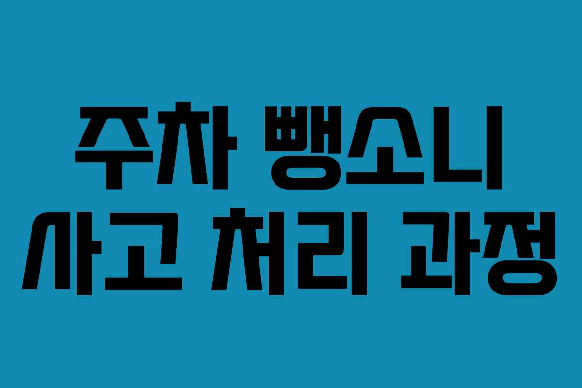 주차 뺑소니 사고 처리 과정