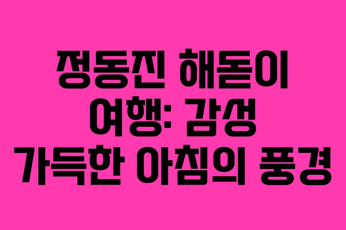 정동진 해돋이 여행: 감성 가득한 아침의 풍경