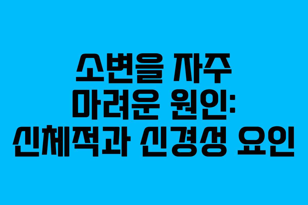 소변을 자주 마려운 원인: 신체적과 신경성 요인