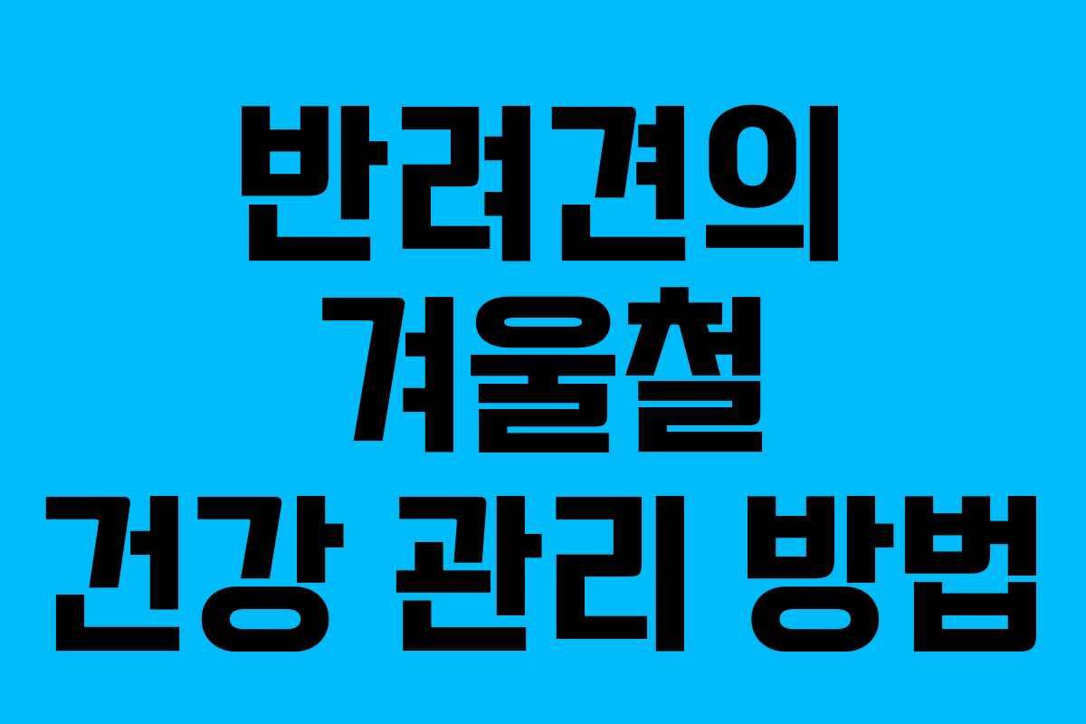 반려견의 겨울철 건강 관리 방법