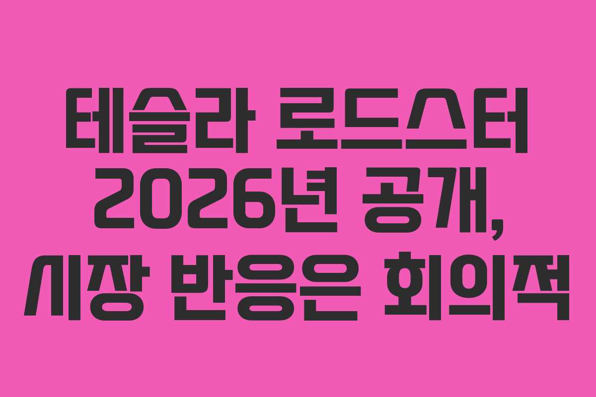 테슬라 로드스터 2026년 공개, 시장 반응은 회의적