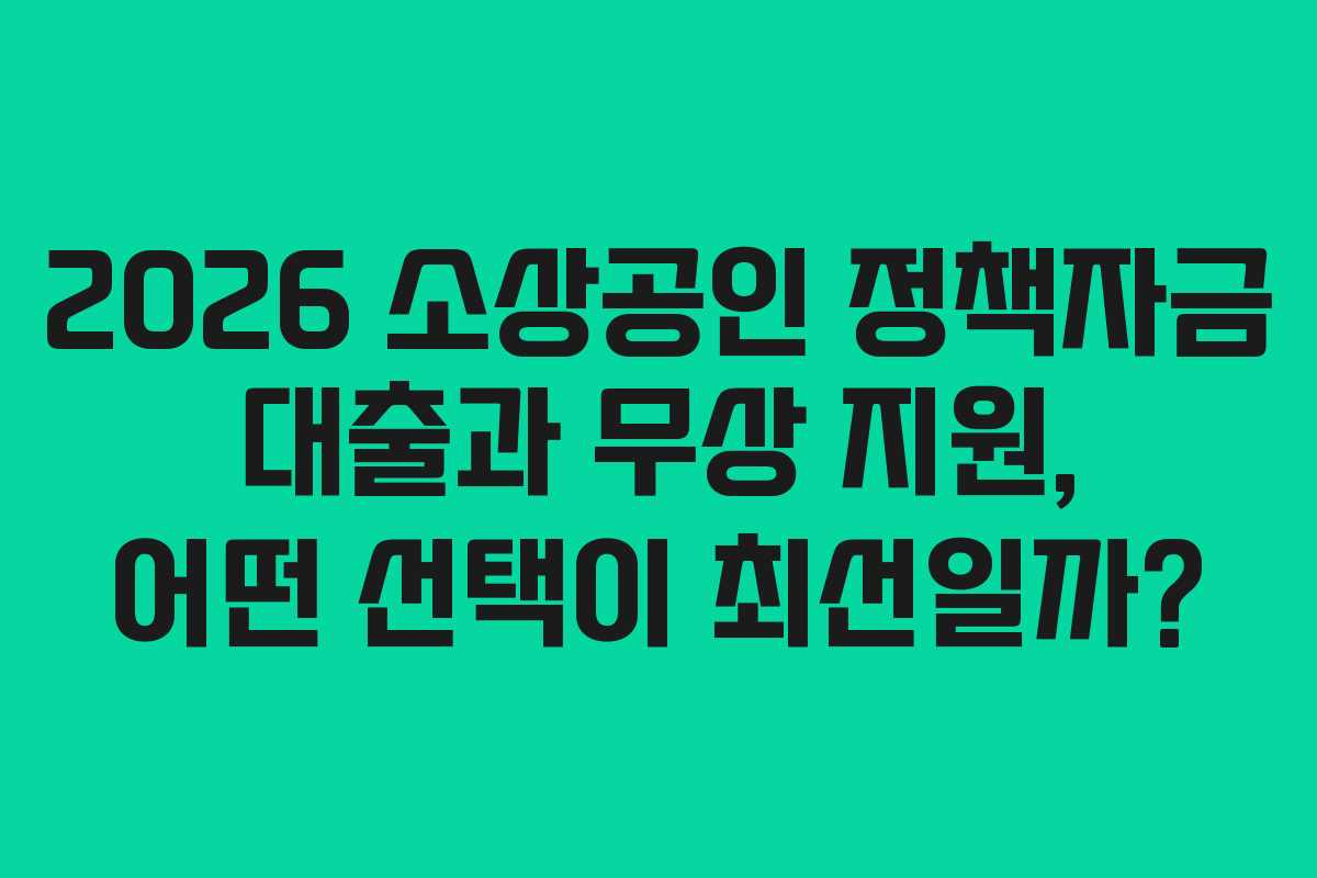 2026 소상공인 정책자금 대출과 무상 지원, 어떤 선택이 최선일까?