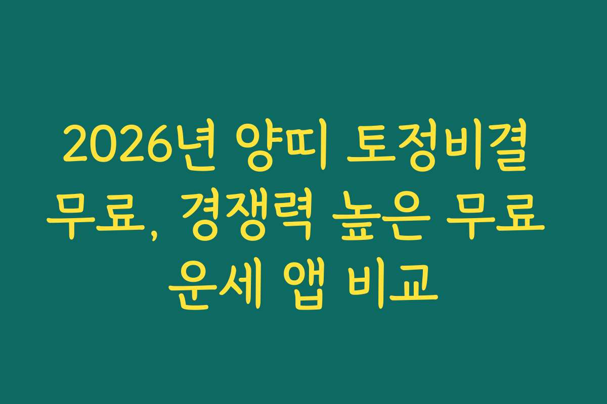 2026년 양띠 토정비결 무료, 경쟁력 높은 무료 운세 앱 비교