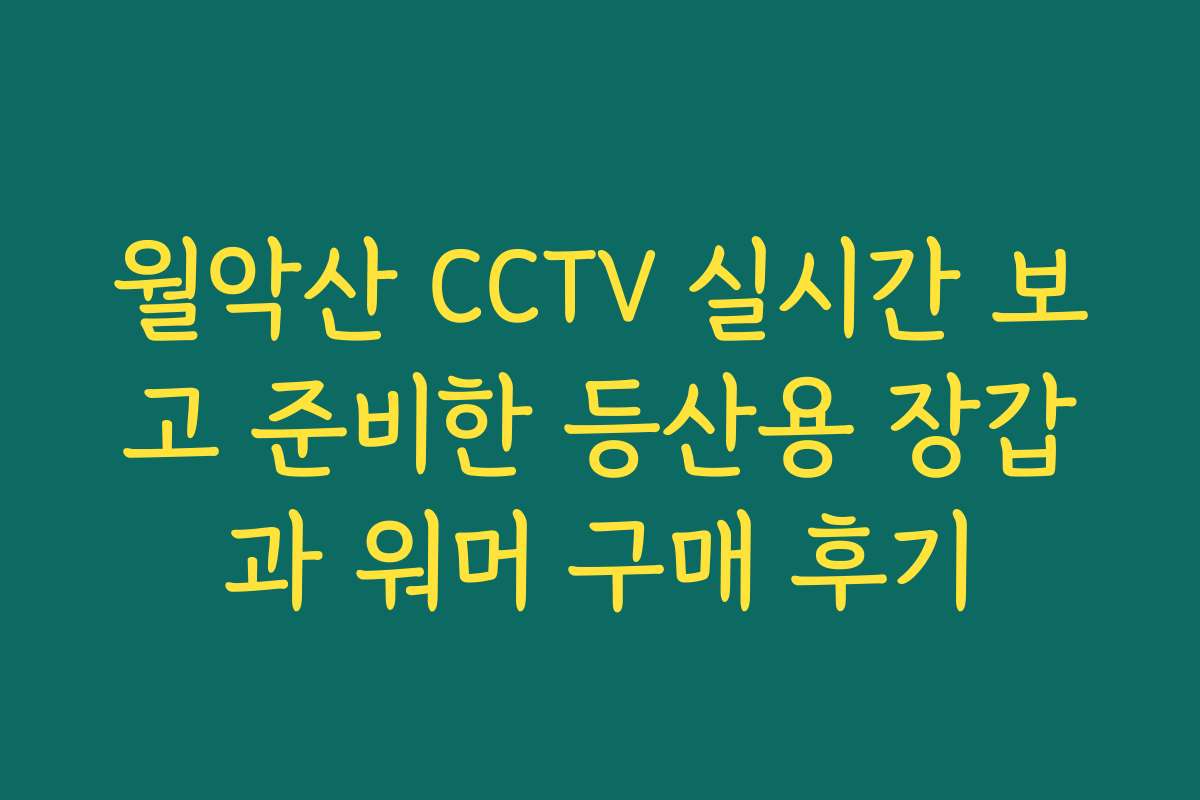 월악산 CCTV 실시간 보고 준비한 등산용 장갑과 워머 구매 후기