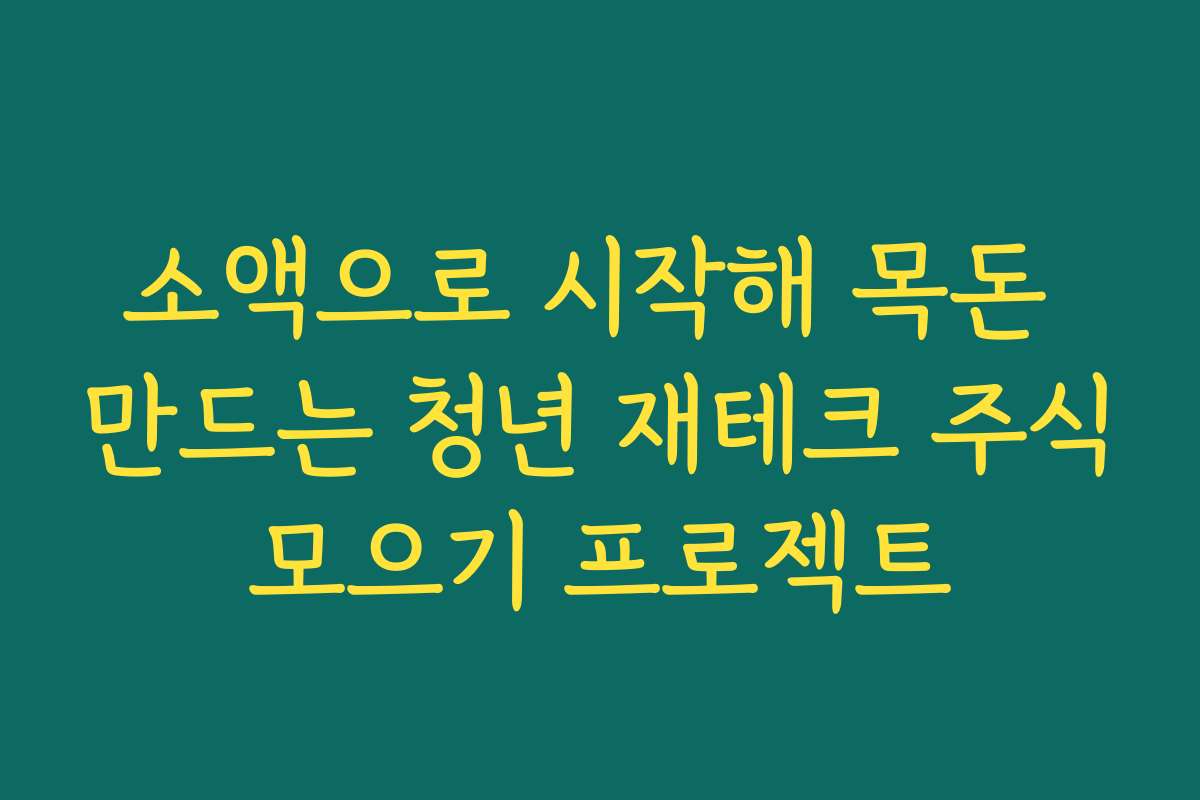 소액으로 시작해 목돈 만드는 청년 재테크 주식모으기 프로젝트