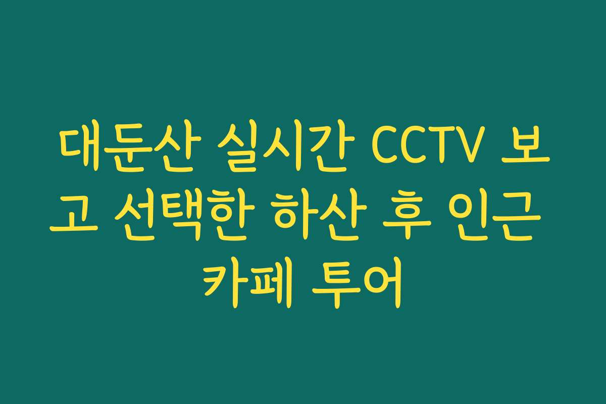대둔산 실시간 CCTV 보고 선택한 하산 후 인근 카페 투어