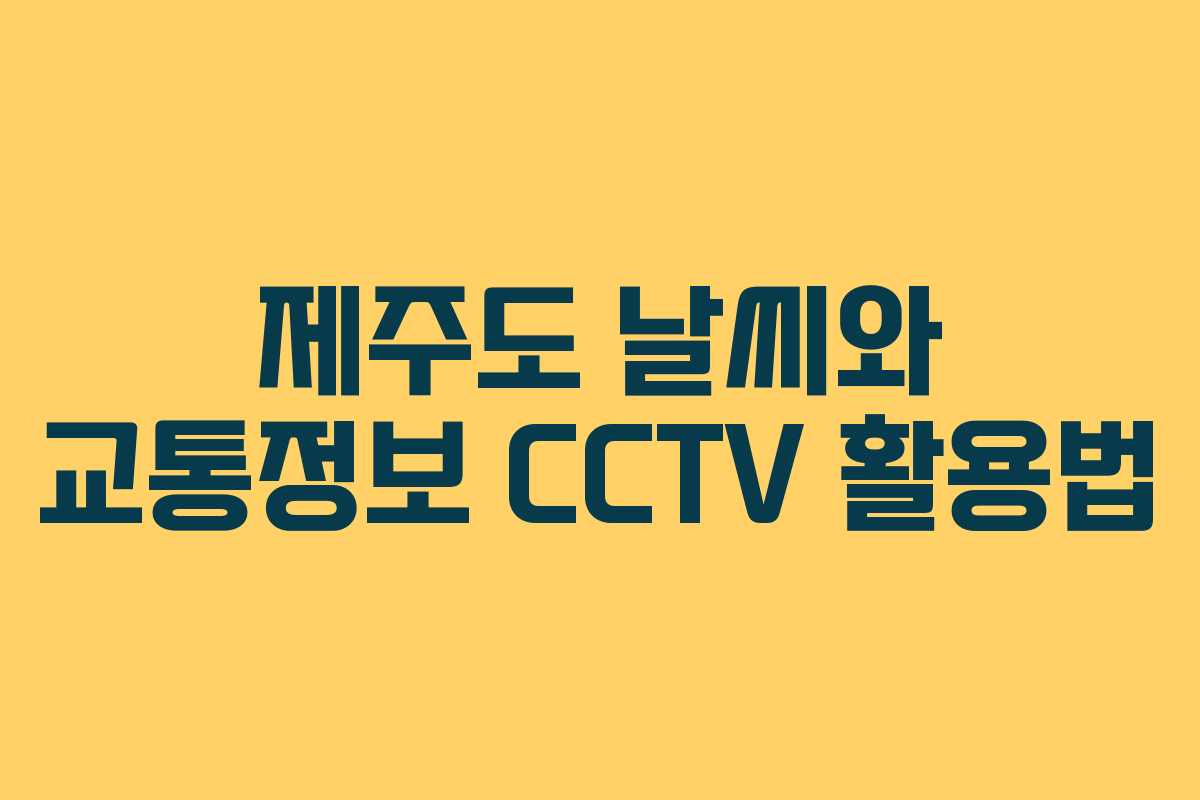 제주도 날씨와 교통정보 CCTV 활용법