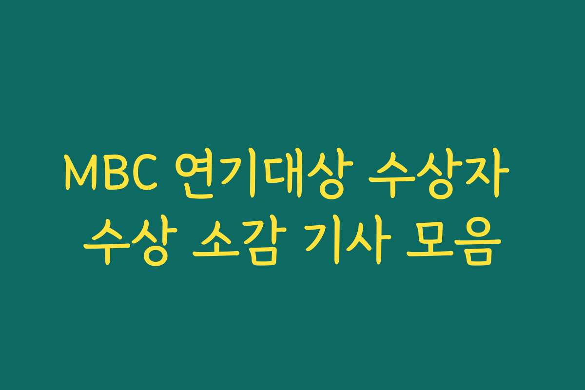MBC 연기대상 수상자 수상 소감 기사 모음