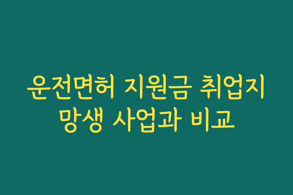 운전면허 지원금 취업지망생 사업과 비교