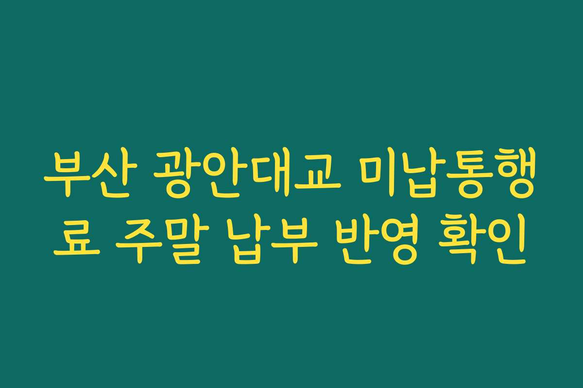 부산 광안대교 미납통행료 주말 납부 반영 확인