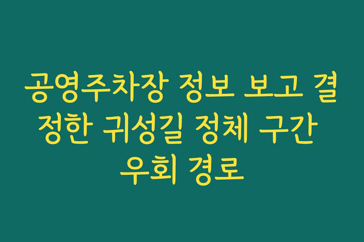 공영주차장 정보 보고 결정한 귀성길 정체 구간 우회 경로