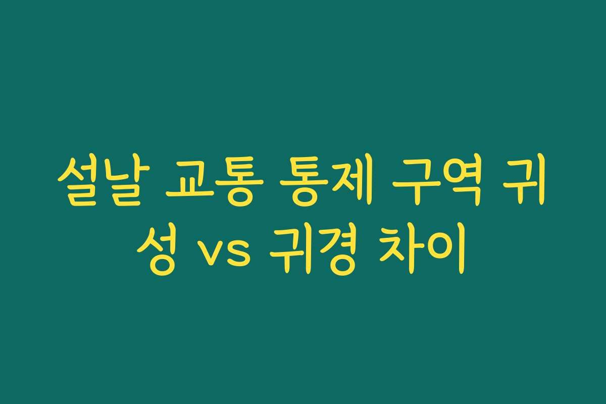 설날 교통 통제 구역 귀성 vs 귀경 차이