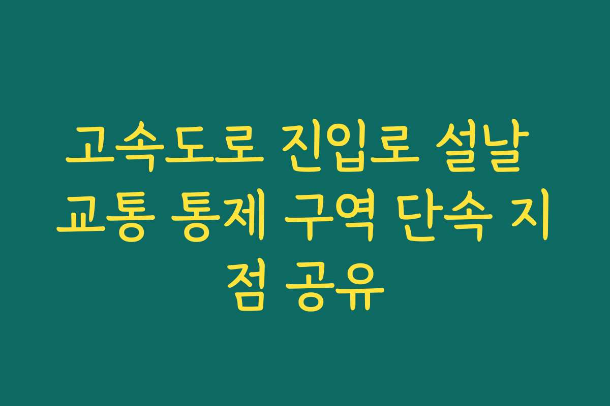 고속도로 진입로 설날 교통 통제 구역 단속 지점 공유