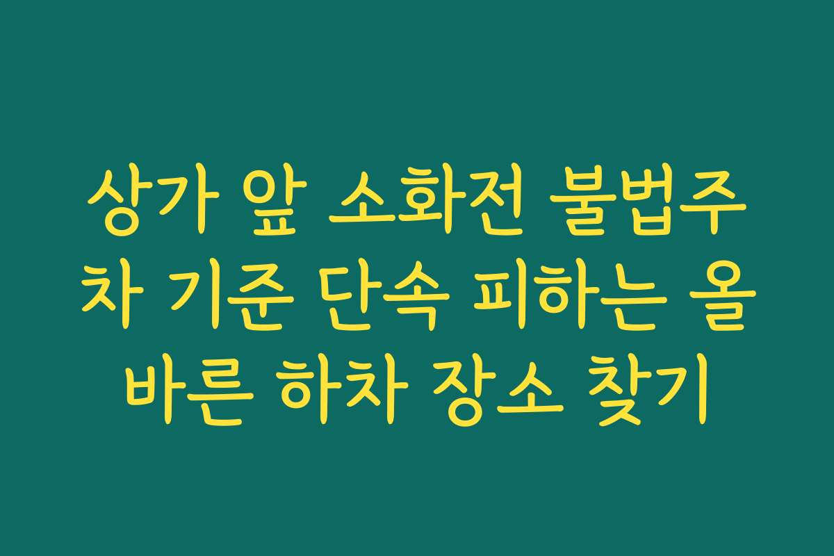 상가 앞 소화전 불법주차 기준 단속 피하는 올바른 하차 장소 찾기