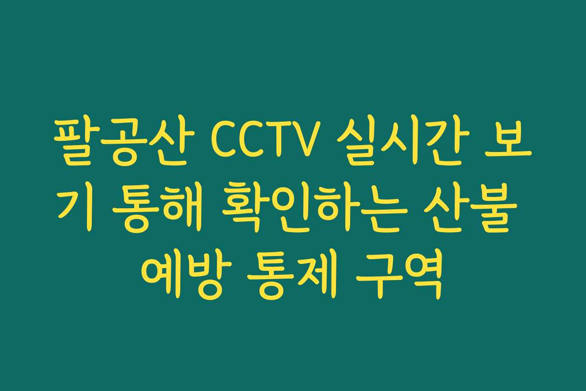 팔공산 CCTV 실시간 보기 통해 확인하는 산불 예방 통제 구역