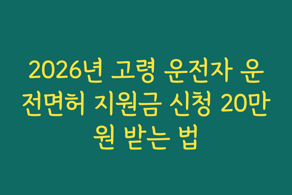 2026년 고령 운전자 운전면허 지원금 신청 20만원 받는 법