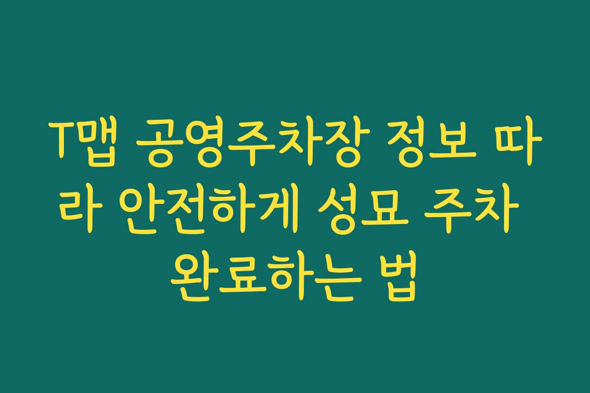 T맵 공영주차장 정보 따라 안전하게 성묘 주차 완료하는 법