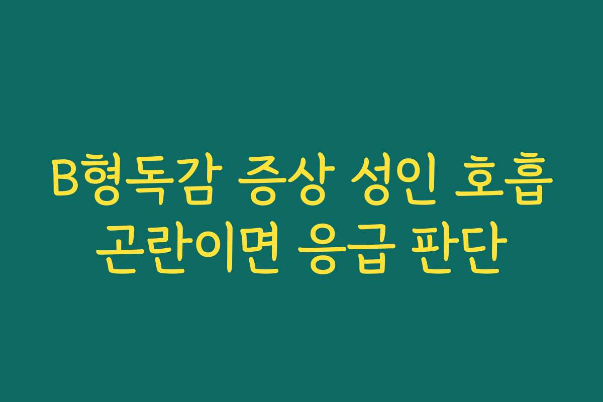 B형독감 증상 성인 호흡곤란이면 응급 판단