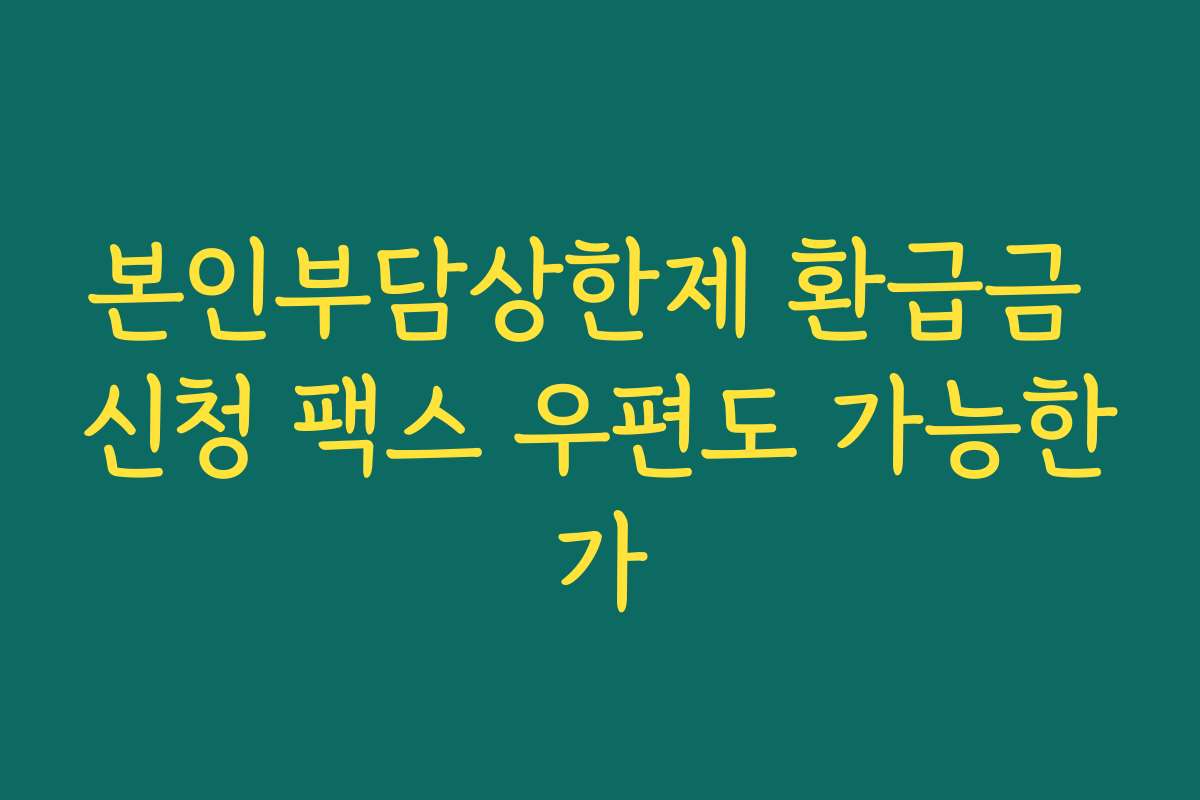 본인부담상한제 환급금 신청 팩스 우편도 가능한가