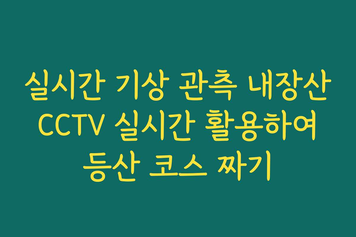 실시간 기상 관측 내장산 CCTV 실시간 활용하여 등산 코스 짜기