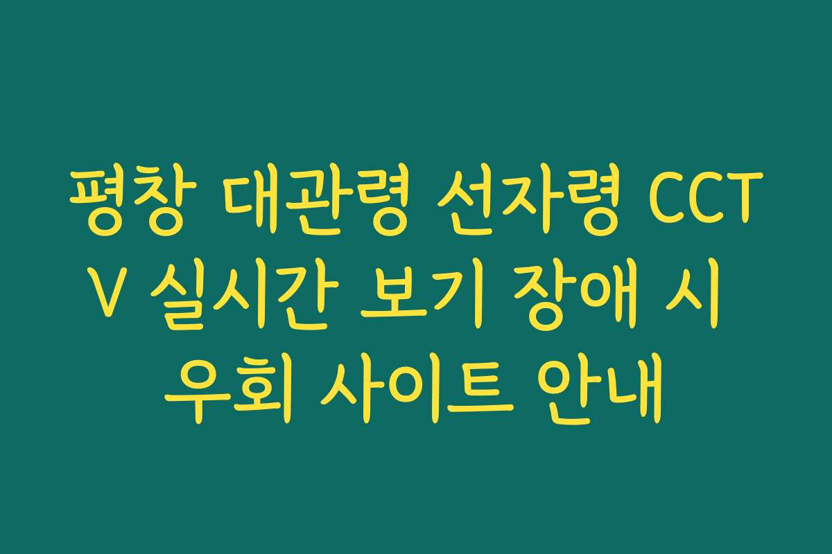 평창 대관령 선자령 CCTV 실시간 보기 장애 시 우회 사이트 안내