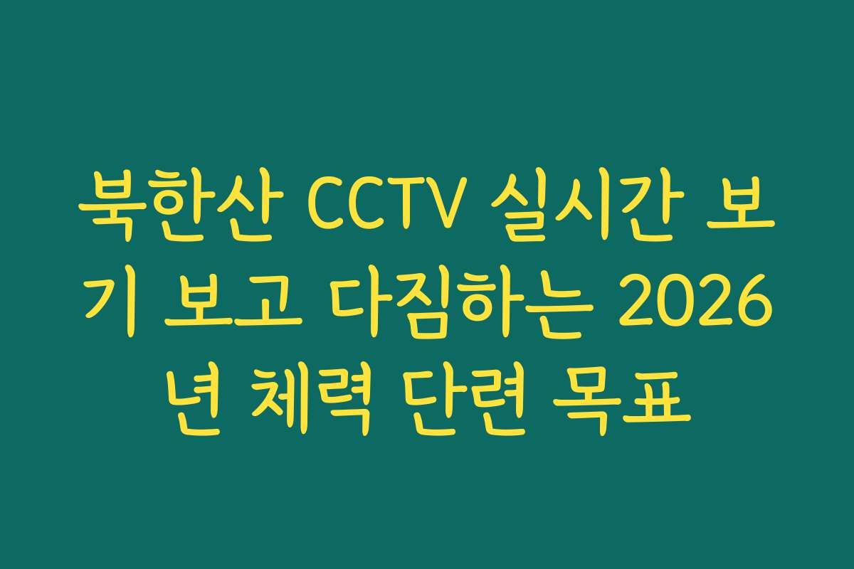 북한산 CCTV 실시간 보기 보고 다짐하는 2026년 체력 단련 목표