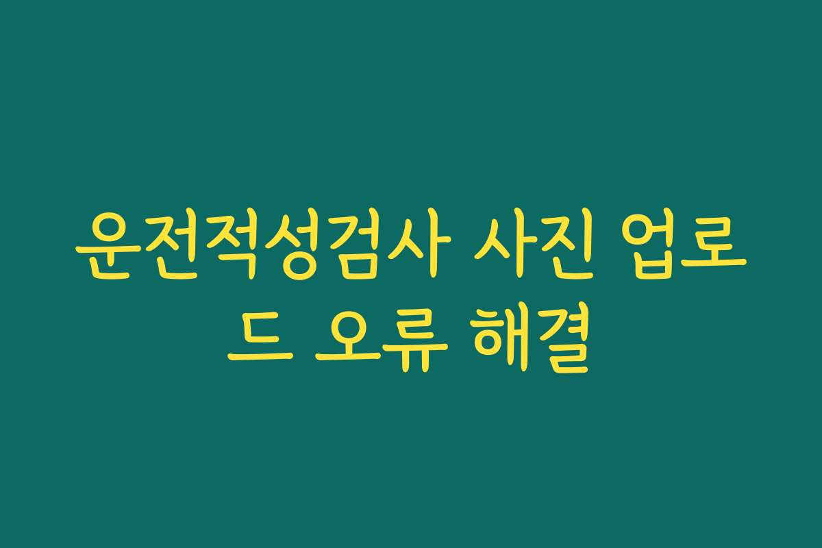운전적성검사 사진 업로드 오류 해결