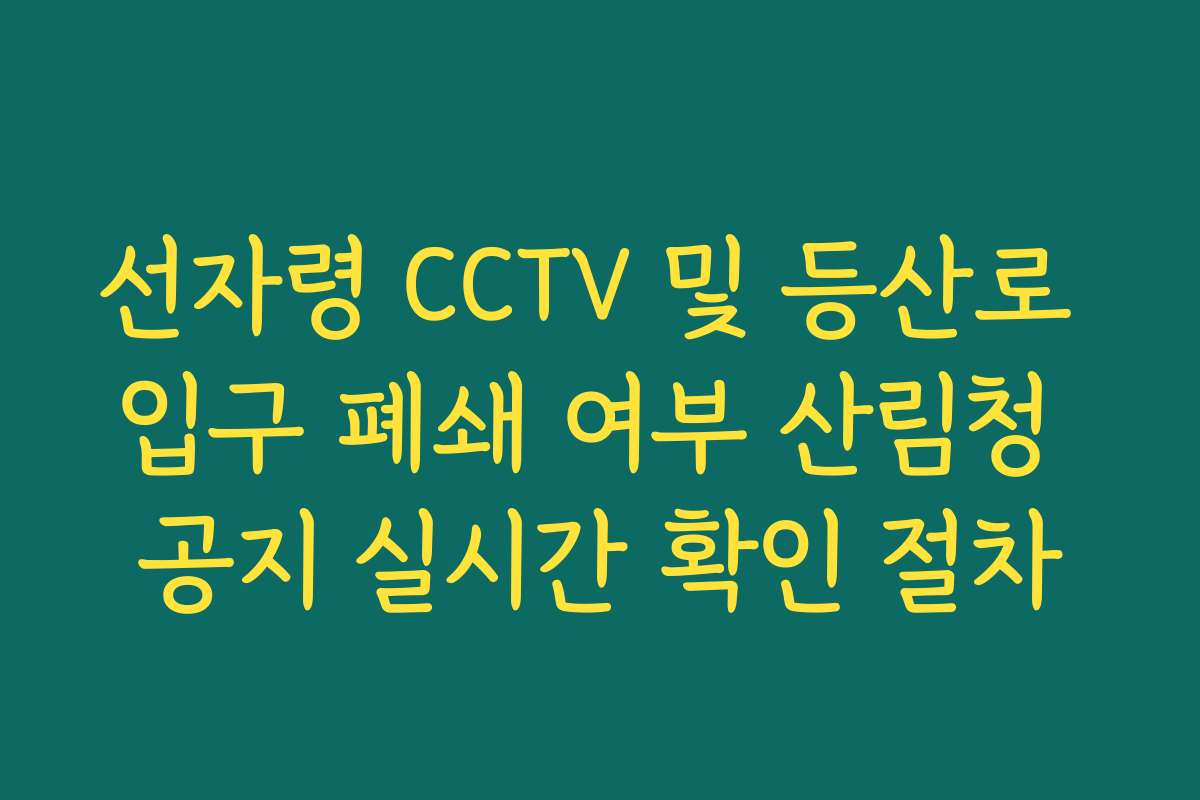 선자령 CCTV 및 등산로 입구 폐쇄 여부 산림청 공지 실시간 확인 절차
