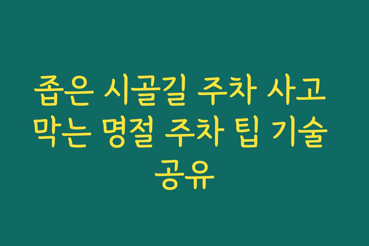좁은 시골길 주차 사고 막는 명절 주차 팁 기술 공유