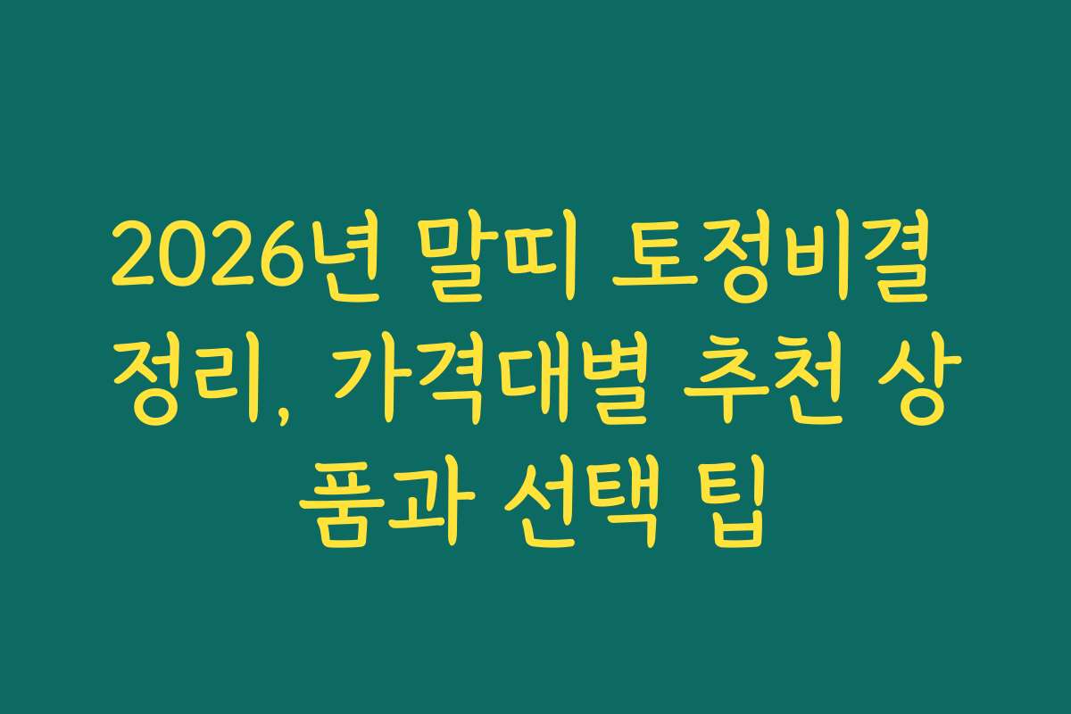 2026년 말띠 토정비결 정리, 가격대별 추천 상품과 선택 팁