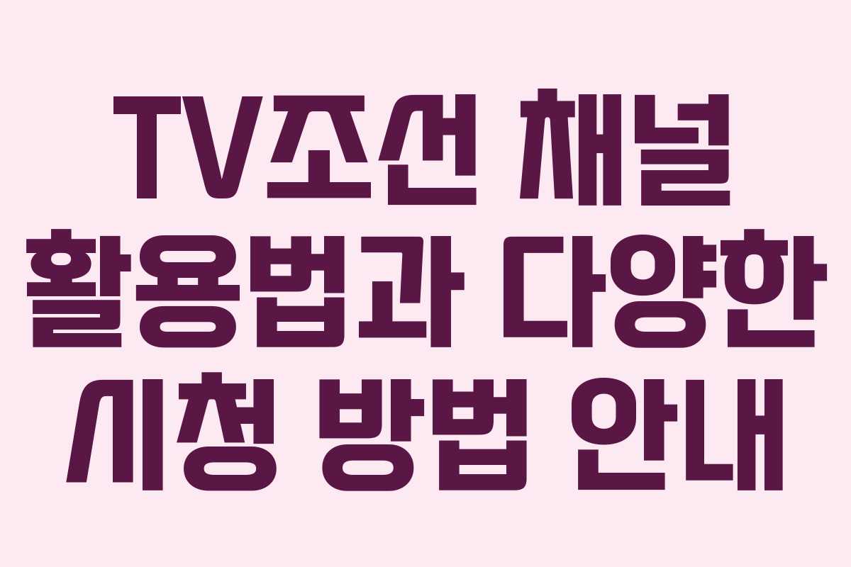 TV조선 채널 활용법과 다양한 시청 방법 안내