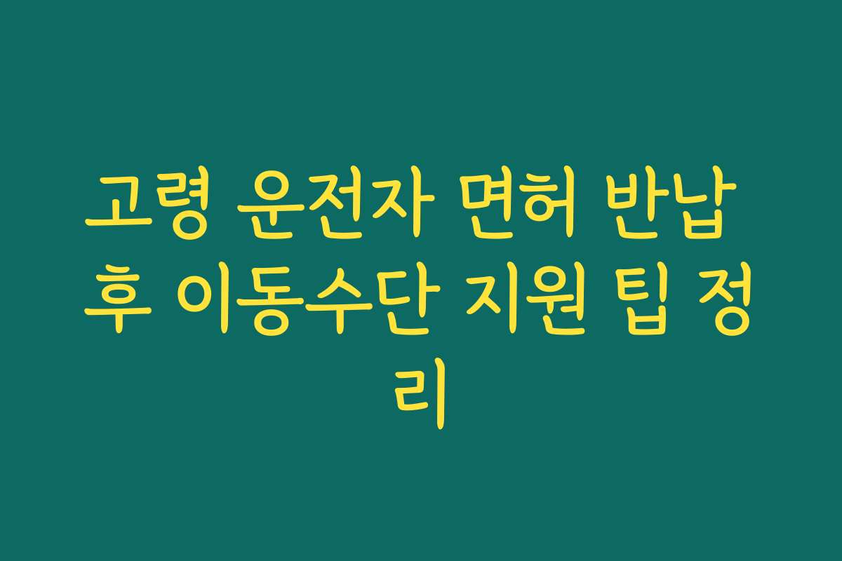 고령 운전자 면허 반납 후 이동수단 지원 팁 정리