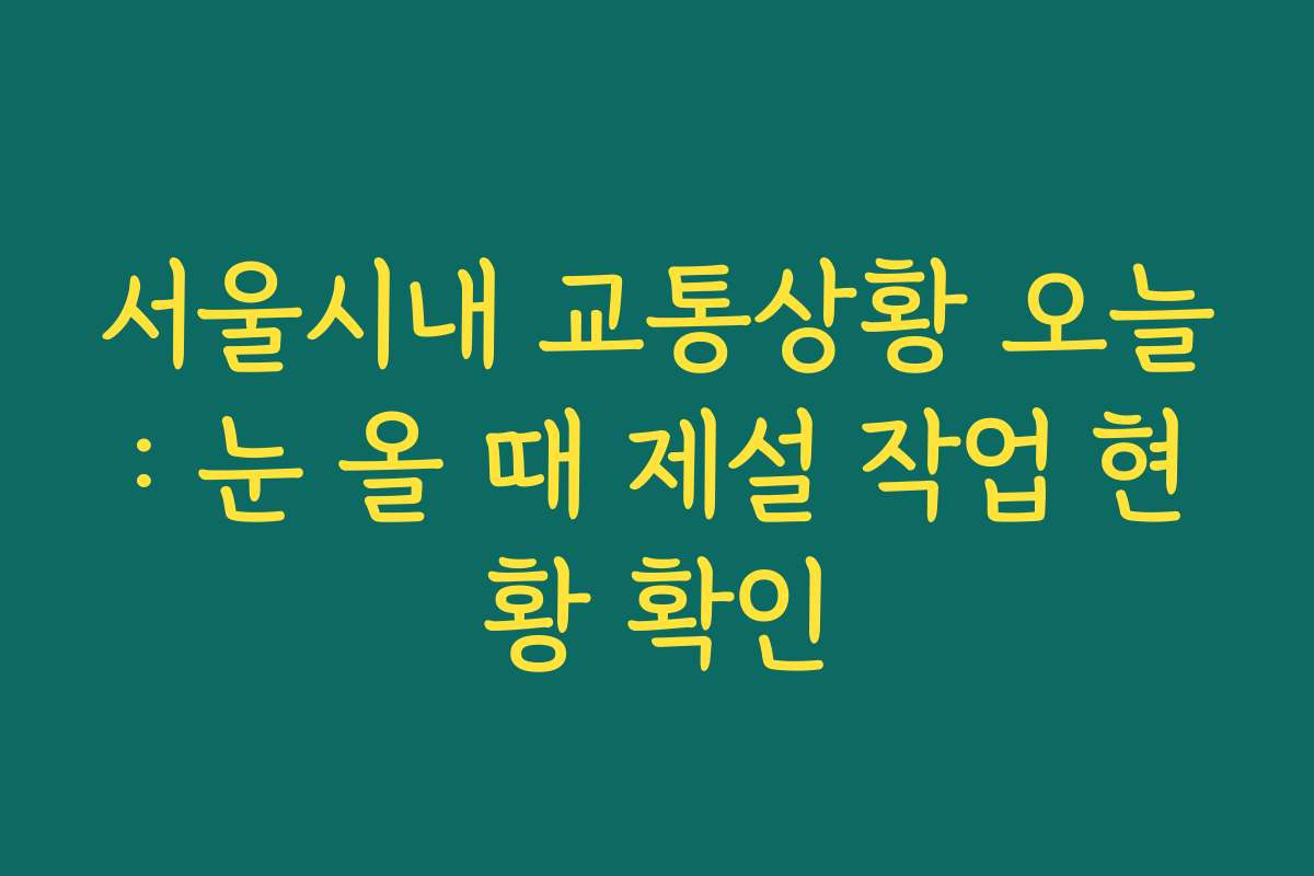서울시내 교통상황 오늘: 눈 올 때 제설 작업 현황 확인
