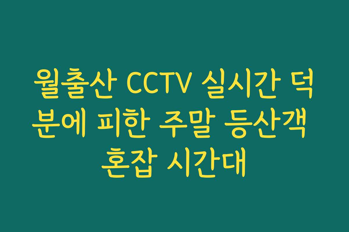 월출산 CCTV 실시간 덕분에 피한 주말 등산객 혼잡 시간대