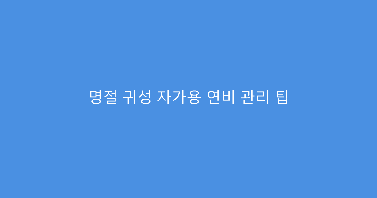 명절 귀성 자가용 연비 관리 팁