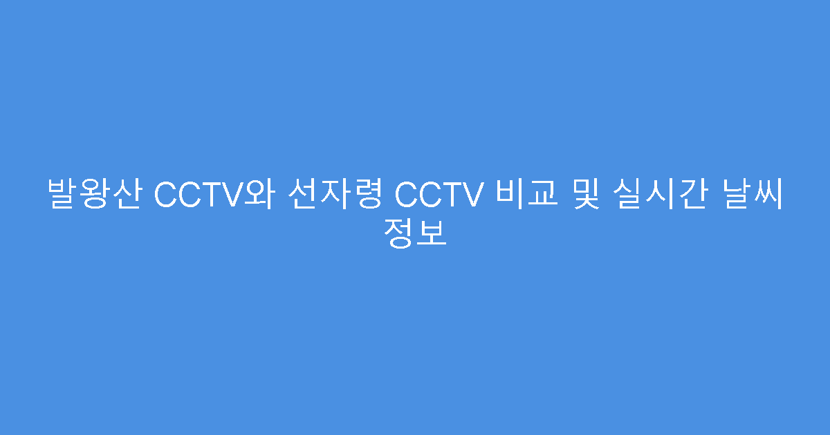 발왕산 CCTV와 선자령 CCTV 비교 및 실시간 날씨 정보