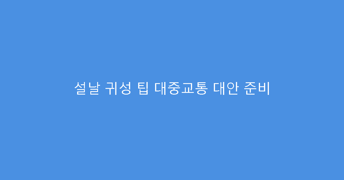 설날 귀성 팁 대중교통 대안 준비