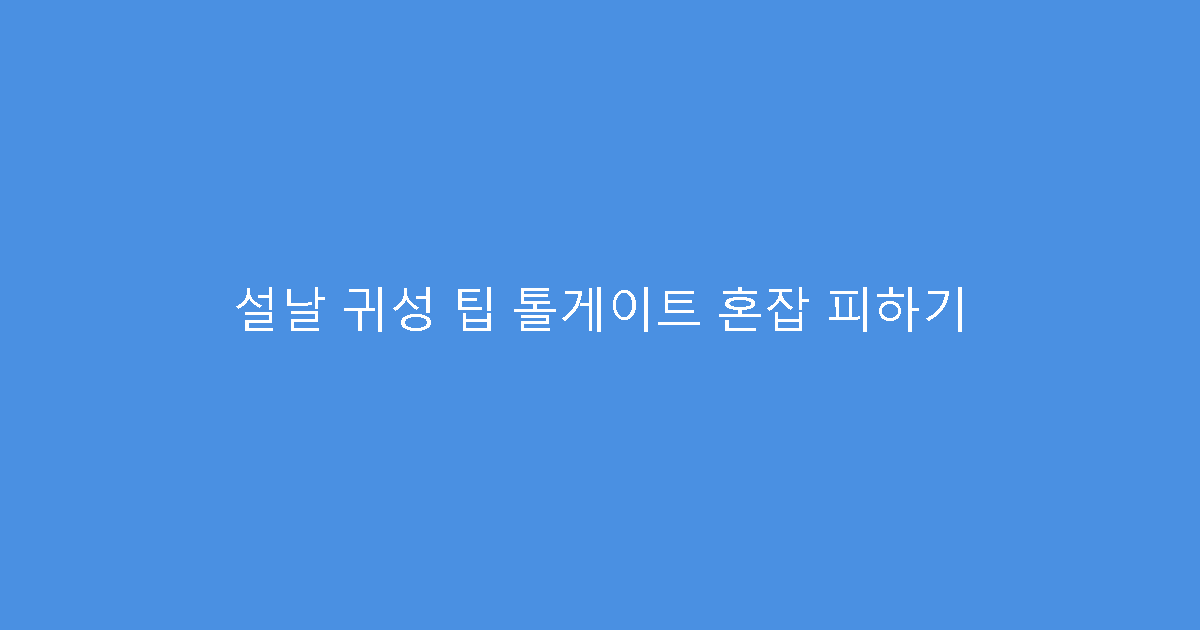설날 귀성 팁 톨게이트 혼잡 피하기
